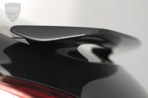 PORSCHE Panamera Panamera (970) Techart Tuning  PORSCHE Panamera Panamera (970) Techart Tuning