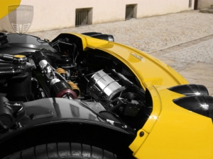 FERRARI Enzo Ferrari Coupé Novitec Rosso Tuning 