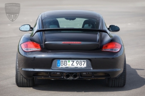 PORSCHE Cayenne Cayenne (958) Techart Tuning 