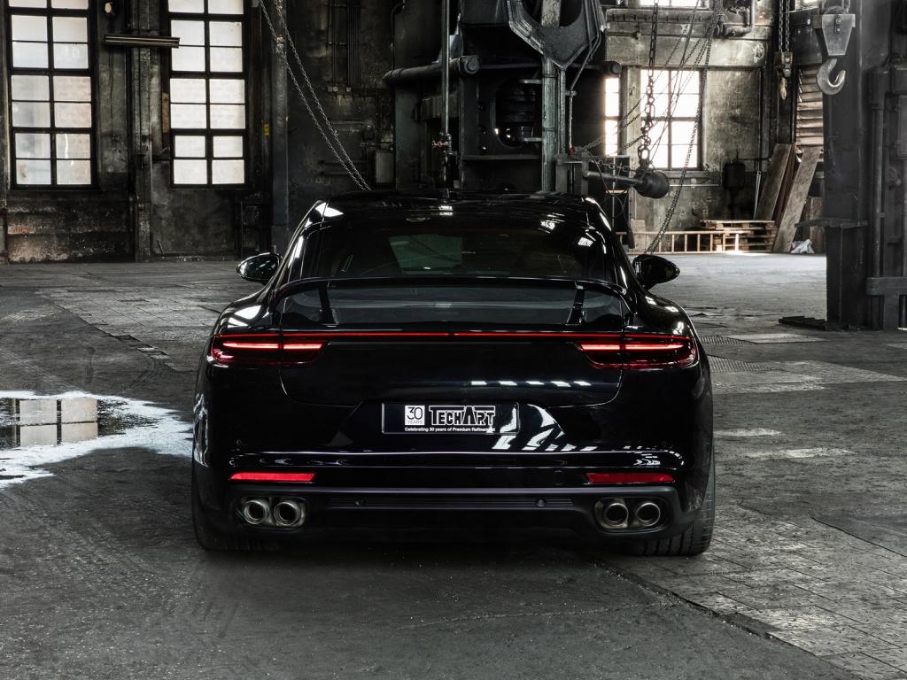 PORSCHE Panamera Panamera (971) Techart Tuning  PORSCHE Panamera Panamera (971) Techart Tuning