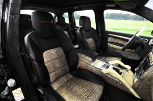 PORSCHE Cayenne Cayenne (957) Mansory Tuning 