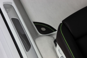 PORSCHE Panamera Panamera (970) Techart Tuning  PORSCHE Panamera Panamera (970) Techart Tuning