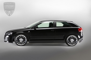 AUDI A3 A3 (8PA/ Sportback) 2005- Hofele Tuning  AUDI A3 A3 (8PA/ Sportback) 2005- Hofele Tuning