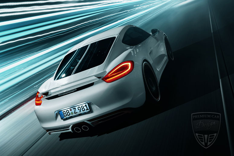 PORSCHE Cayman Cayman (981) Techart Tuning  PORSCHE Cayman Cayman (981) Techart Tuning